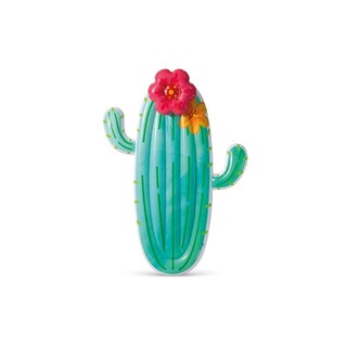 Foto 1 | Inflable Intex de Cactus