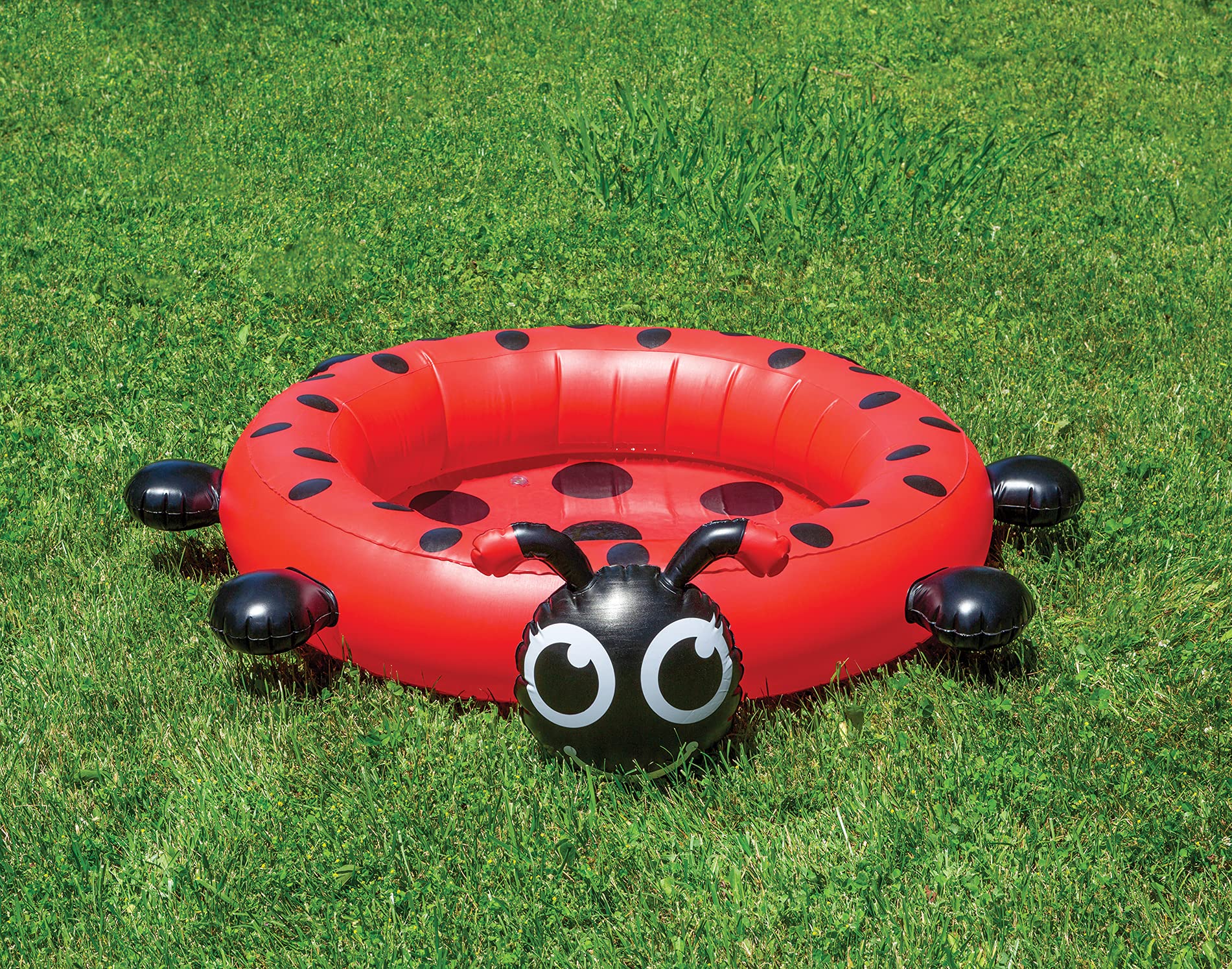 Kiddie Pool Poolmaster Ladybug Para Niños De Más De 2 Años - Venta Internacional. $685