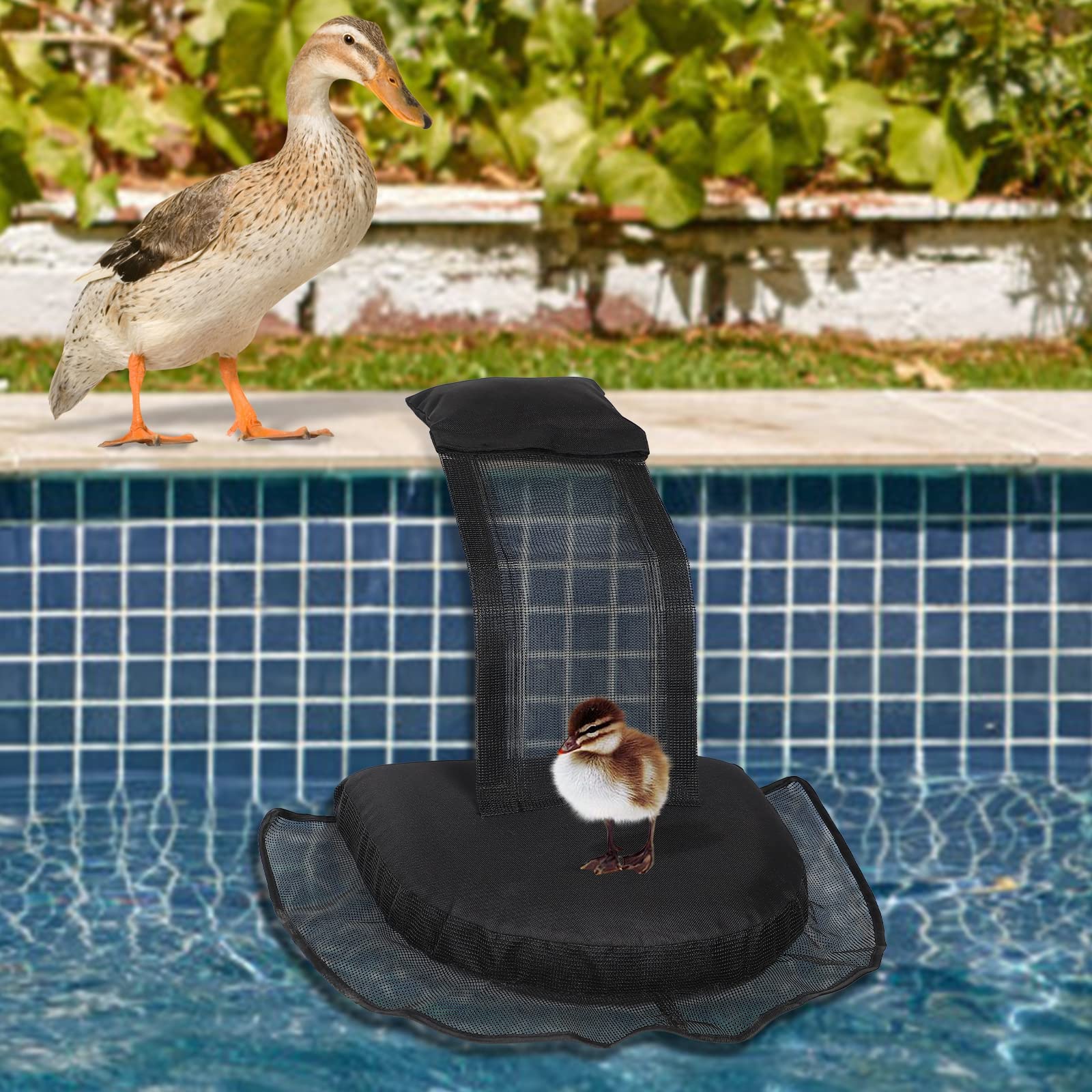 Foto 7 pulgar | Rampa De Escape Mortime Para Piscina Animal Saving (1 Paquete) - Venta Internacional.