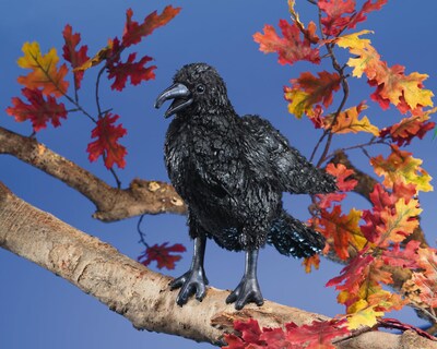 Foto 3 | Marioneta De Mano Folkmanis Crow - Venta Internacional.