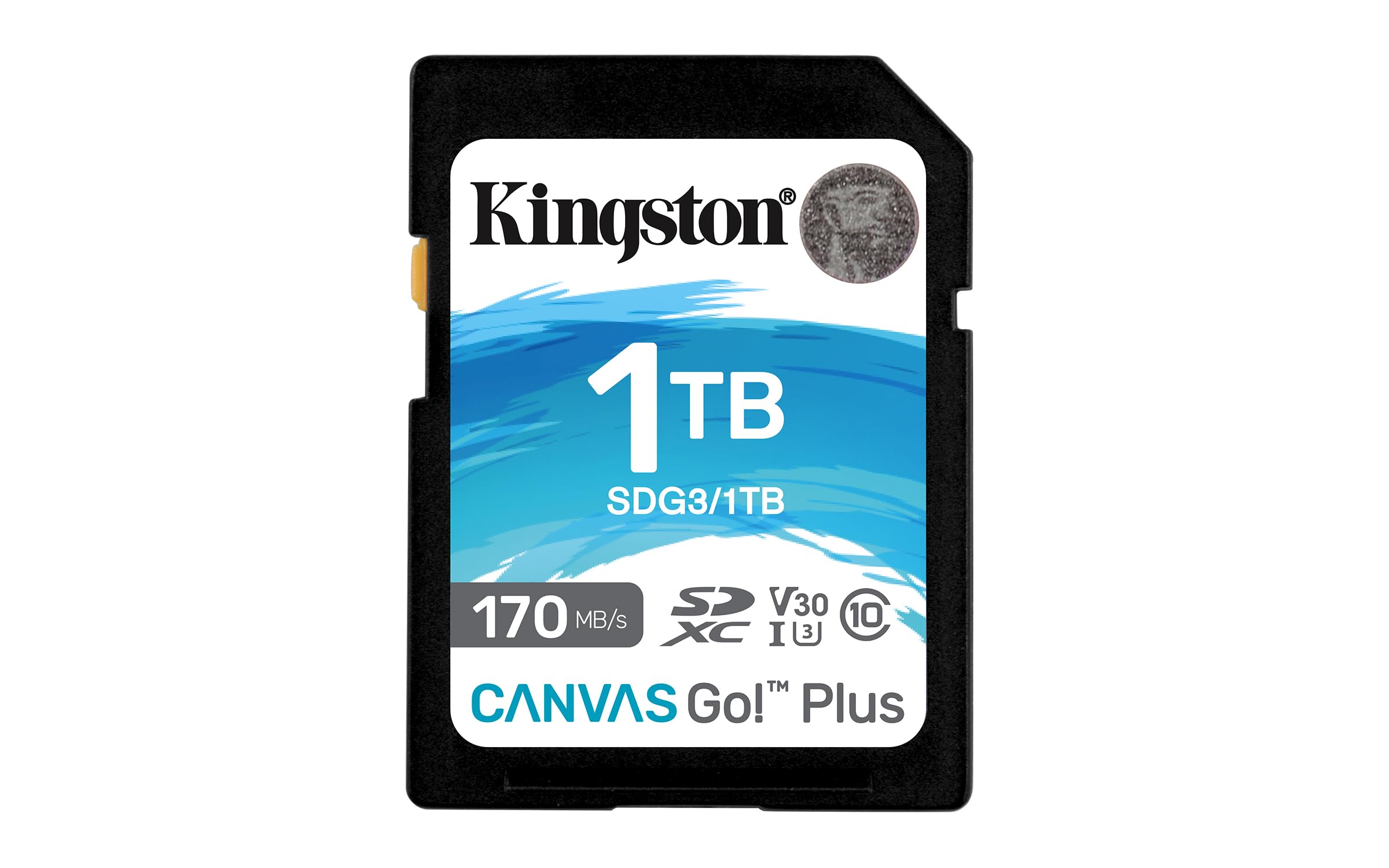 Tarjeta Sdxc Kingston Canvas Go Plus De 1 Tb Clase 10 Uhs-i U3 V30 - Venta Internacional.