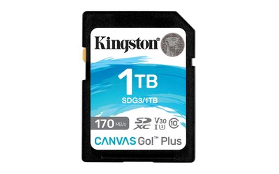 Foto 1 | Tarjeta Sdxc Kingston Canvas Go Plus De 1 Tb Clase 10 Uhs-i U3 V30 - Venta Internacional.