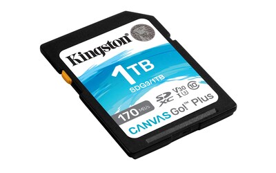 Foto 2 | Tarjeta Sdxc Kingston Canvas Go Plus De 1 Tb Clase 10 Uhs-i U3 V30 - Venta Internacional.