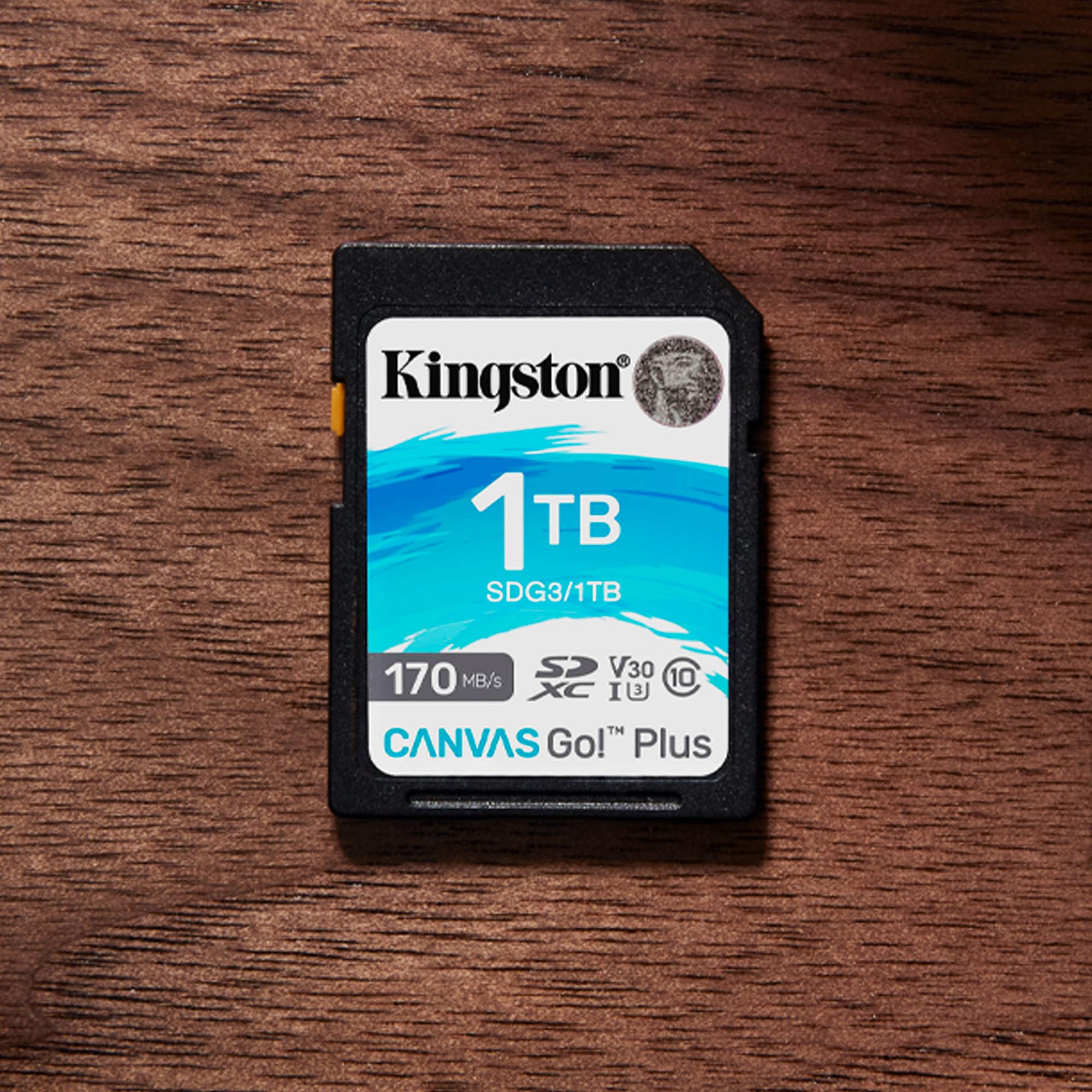Foto 4 | Tarjeta Sdxc Kingston Canvas Go Plus De 1 Tb Clase 10 Uhs-i U3 V30 - Venta Internacional.