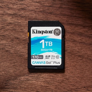 Foto 4 | Tarjeta Sdxc Kingston Canvas Go Plus De 1 Tb Clase 10 Uhs-i U3 V30 - Venta Internacional.