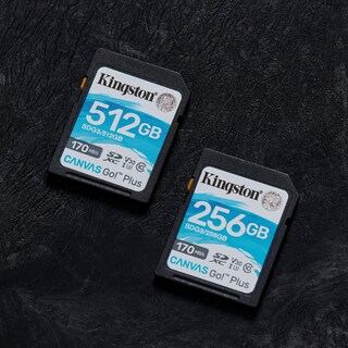 Foto 6 | Tarjeta Sdxc Kingston Canvas Go Plus De 1 Tb Clase 10 Uhs-i U3 V30 - Venta Internacional.
