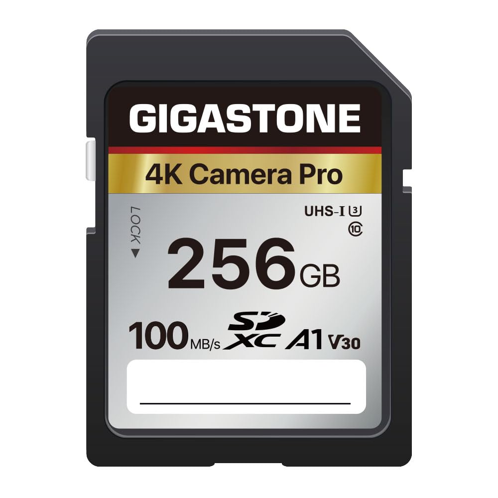 Tarjeta De Memoria Gigastone 256gb 4k Pro Series 100mb/s Sd Uhs-i - Venta Internacional.