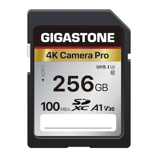 Foto 1 | Tarjeta De Memoria Gigastone 256gb 4k Pro Series 100mb/s Sd Uhs-i - Venta Internacional.