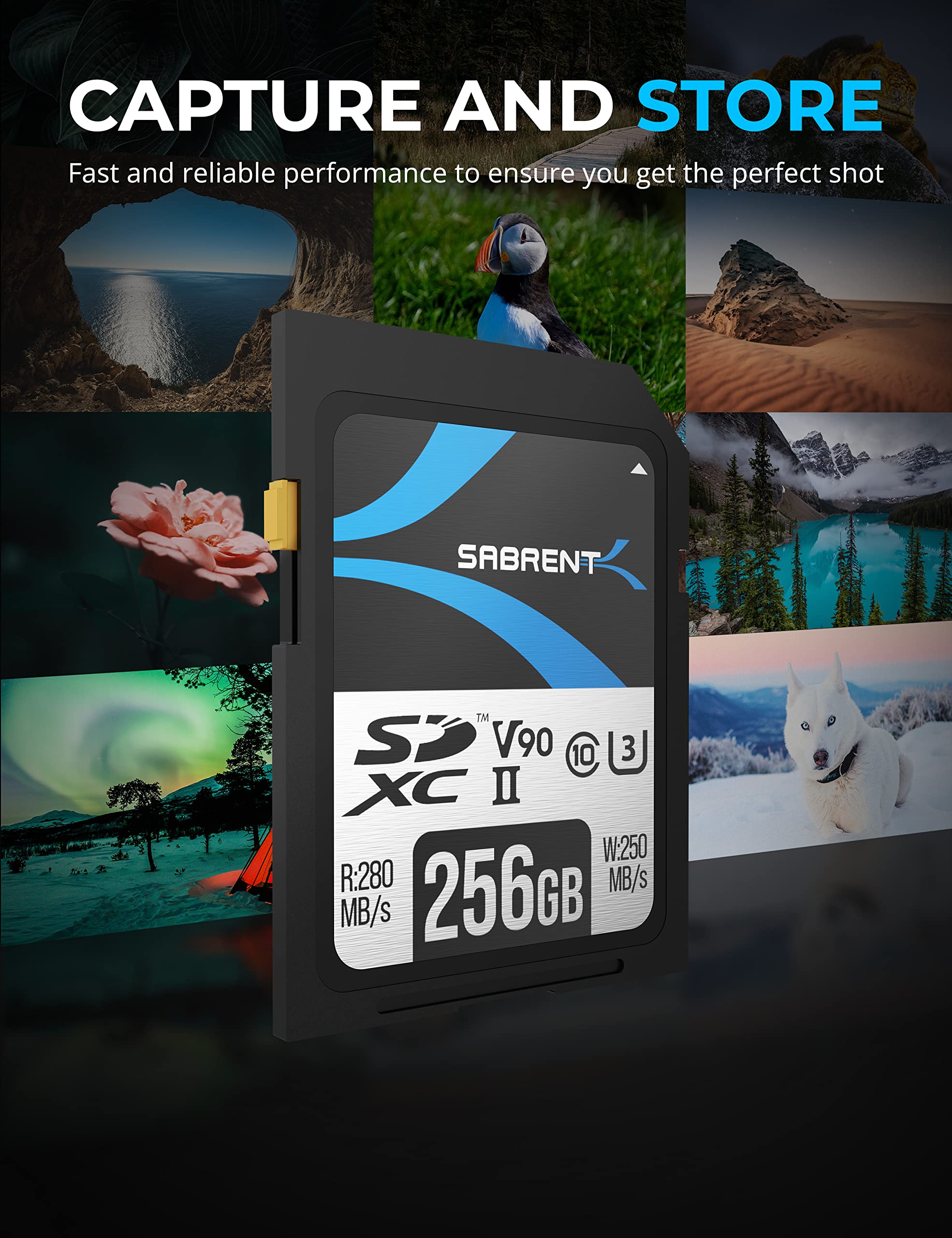 Foto 3 pulgar | Tarjeta De Memoria Sabrent Rocket V90 256gb Sd Uhs-ii R280 Mb/s W250 Mb/s - Venta Internacional.