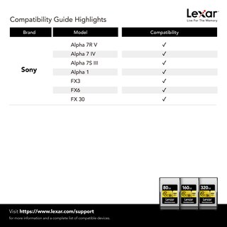 Foto 7 | Tarjeta De Memoria Lexar Professional Cfexpress Tipo A Gold 320gb - Venta Internacional.