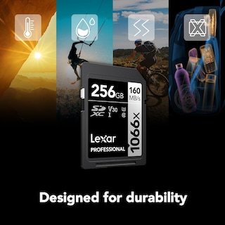 Foto 4 | Tarjeta De Memoria Lexar Professional 1066x 256gb Sdxc Uhs-i V30 - Venta Internacional.