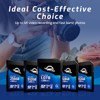 Foto 4 | Tarjeta De Memoria Owc Atlas Pro 256gb Sdxc Uhs-ii V60 - Venta Internacional.