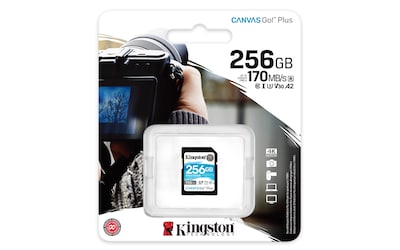 Foto 4 | Tarjeta Sdxc Kingston Canvas Go Plus 256 Gb Uhs-i C10 U3 V30 - Venta Internacional.
