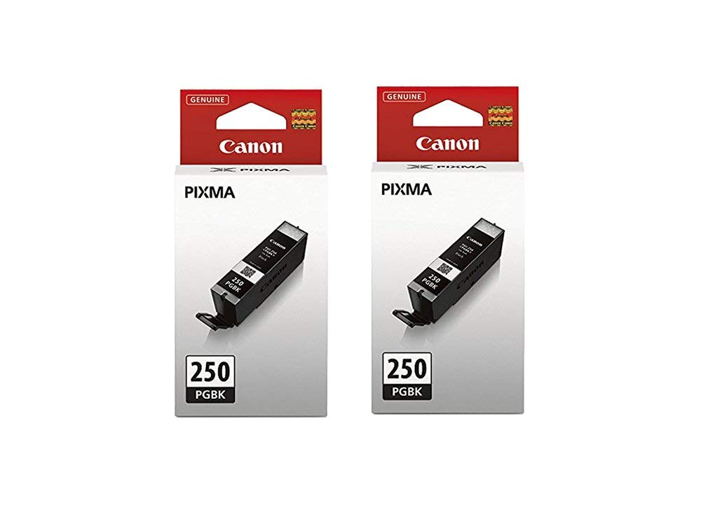 Cartuchos De Tinta Canon Pgi-250 Negros (paquete De 2) Para Impresoras Pixma - Venta Internacional.