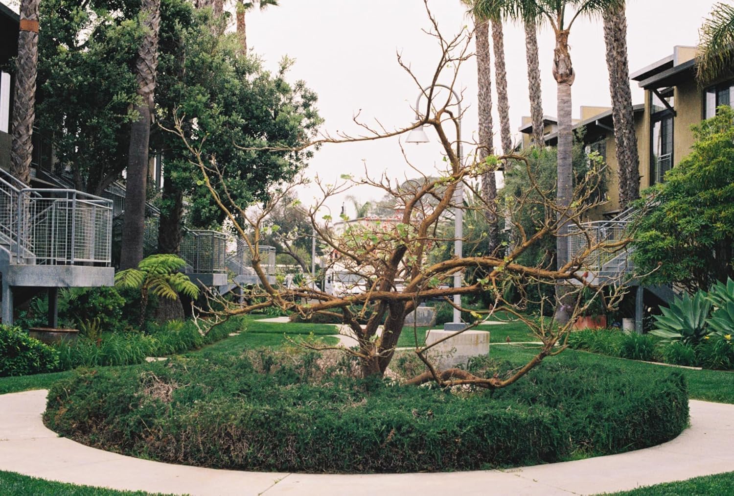 Foto 6 | Película Fujifilm 200 Negativos En Color, 35 Mm, 36 Exposiciones, Paquete De 3 - Venta Internacional.