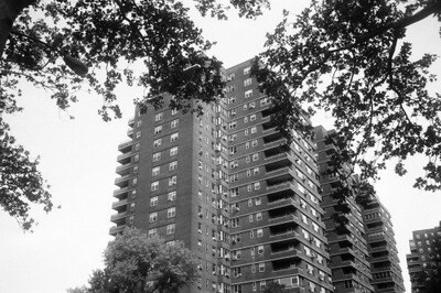Foto 2 | Película Foma Fomapan 400 Iso Negativo Blanco Y Negro 4x5 50 Hojas - Venta Internacional.