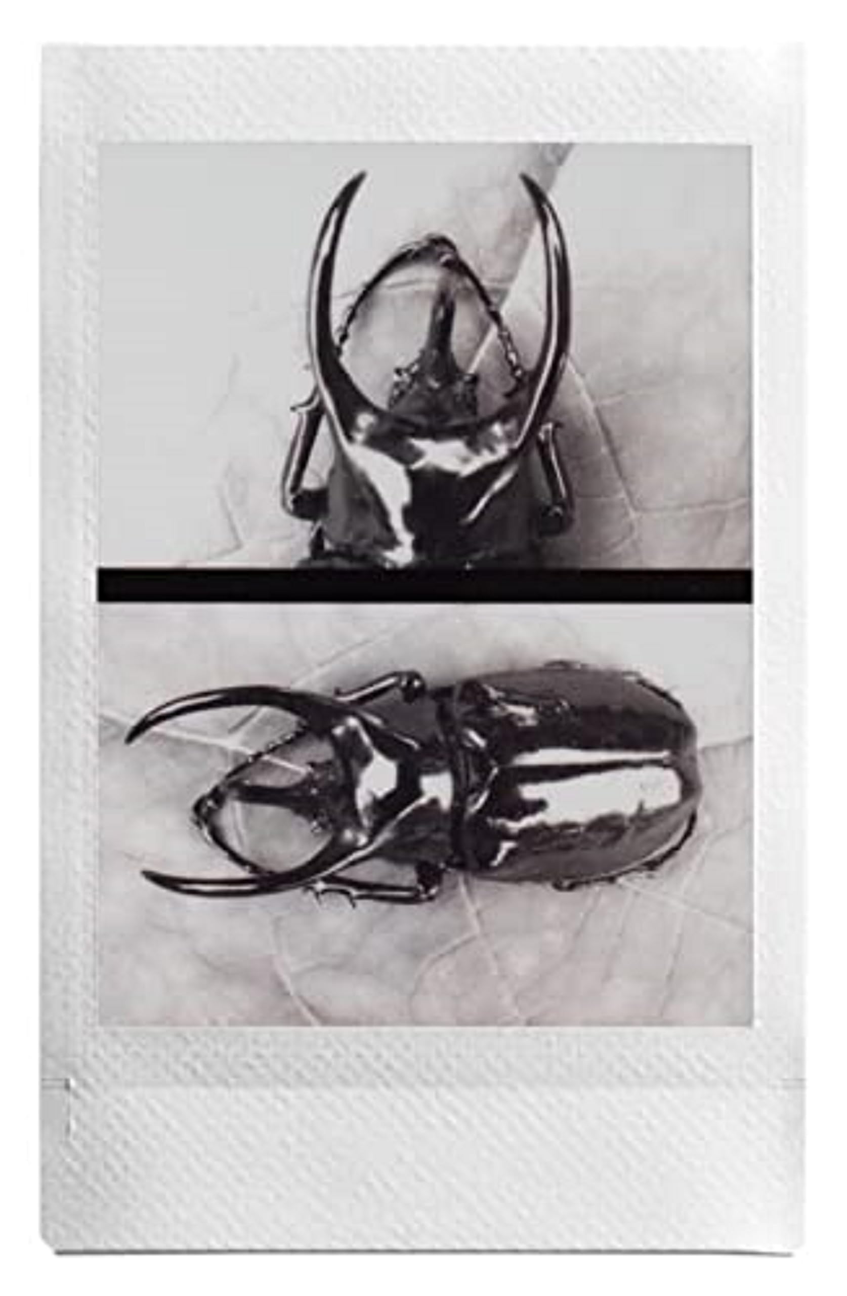 Foto 6 pulgar | Cámara Instax Hybrid Instant Black Mini - Venta Internacional.
