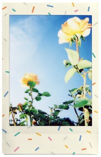 Foto 5 | Película Fujifilm Instax Mini Sprinkles - 10 Exposiciones - Venta Internacional.