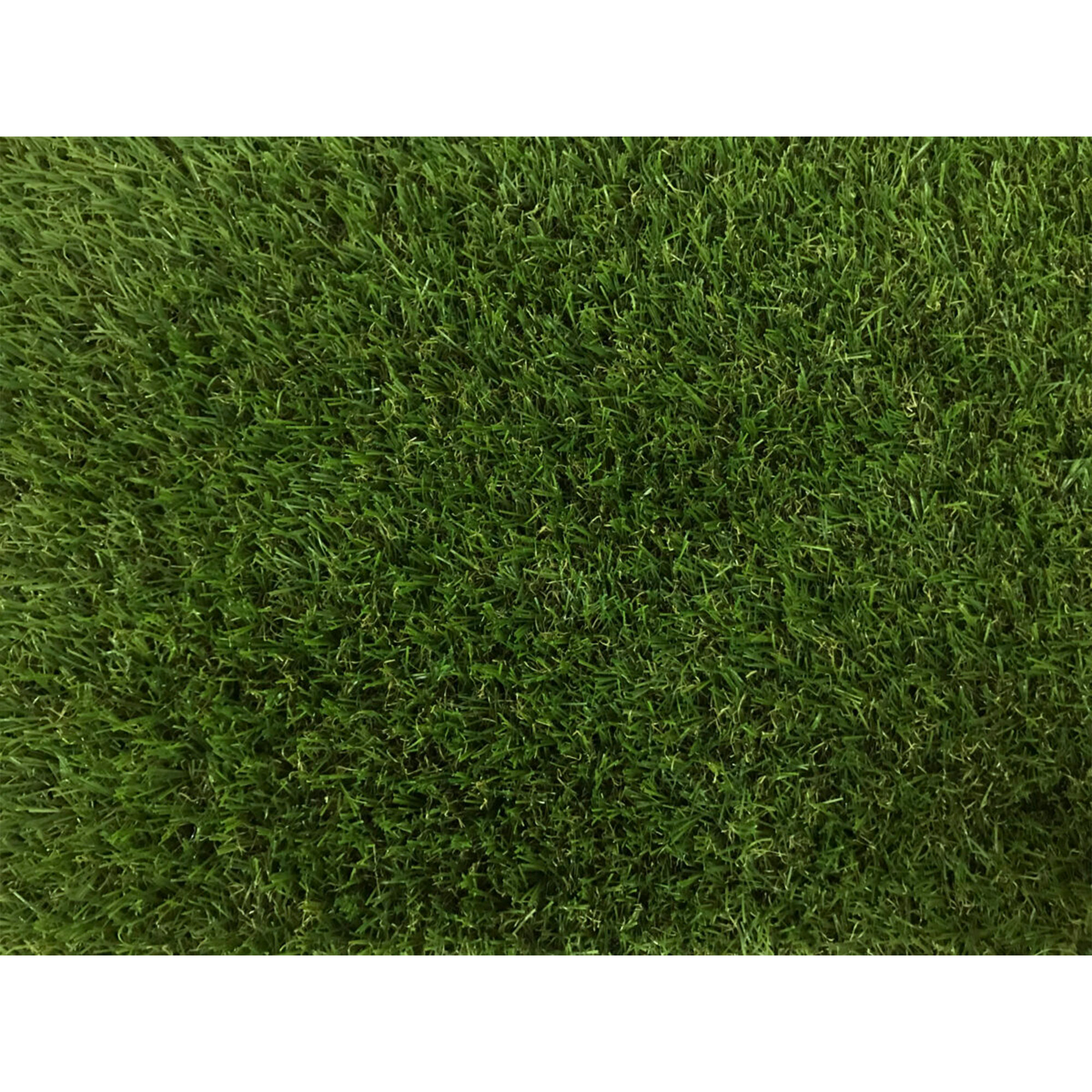 Foto 3 pulgar | Pasto Bermuda Tekno Step 5m2 3.75  color Verde