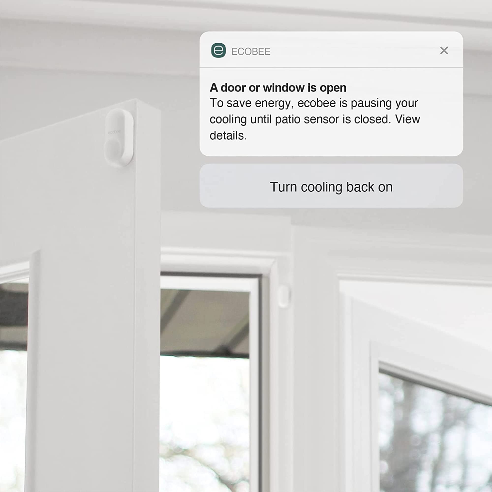Foto 5 | Termostato Inteligente Programable Wifi Ecobee Smartthermostat - Venta Internacional.