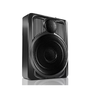 Foto 1 | Bocina Belug 10" color Negro de 600 W