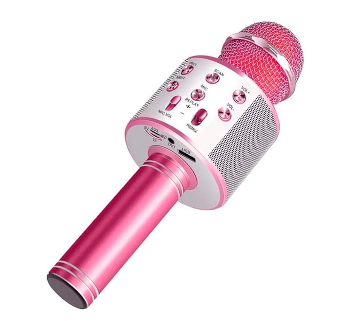 Micrófono Karaoke con Bocina BT $250