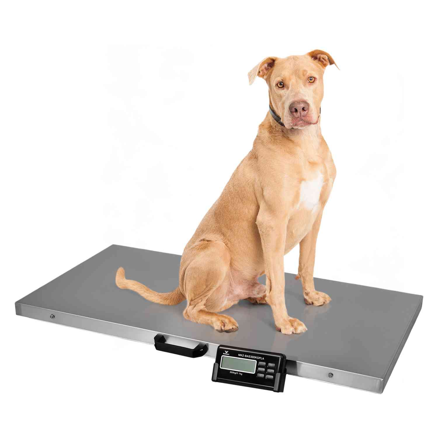 Báscula Gutstark de Acero Inoxidable para Mascota