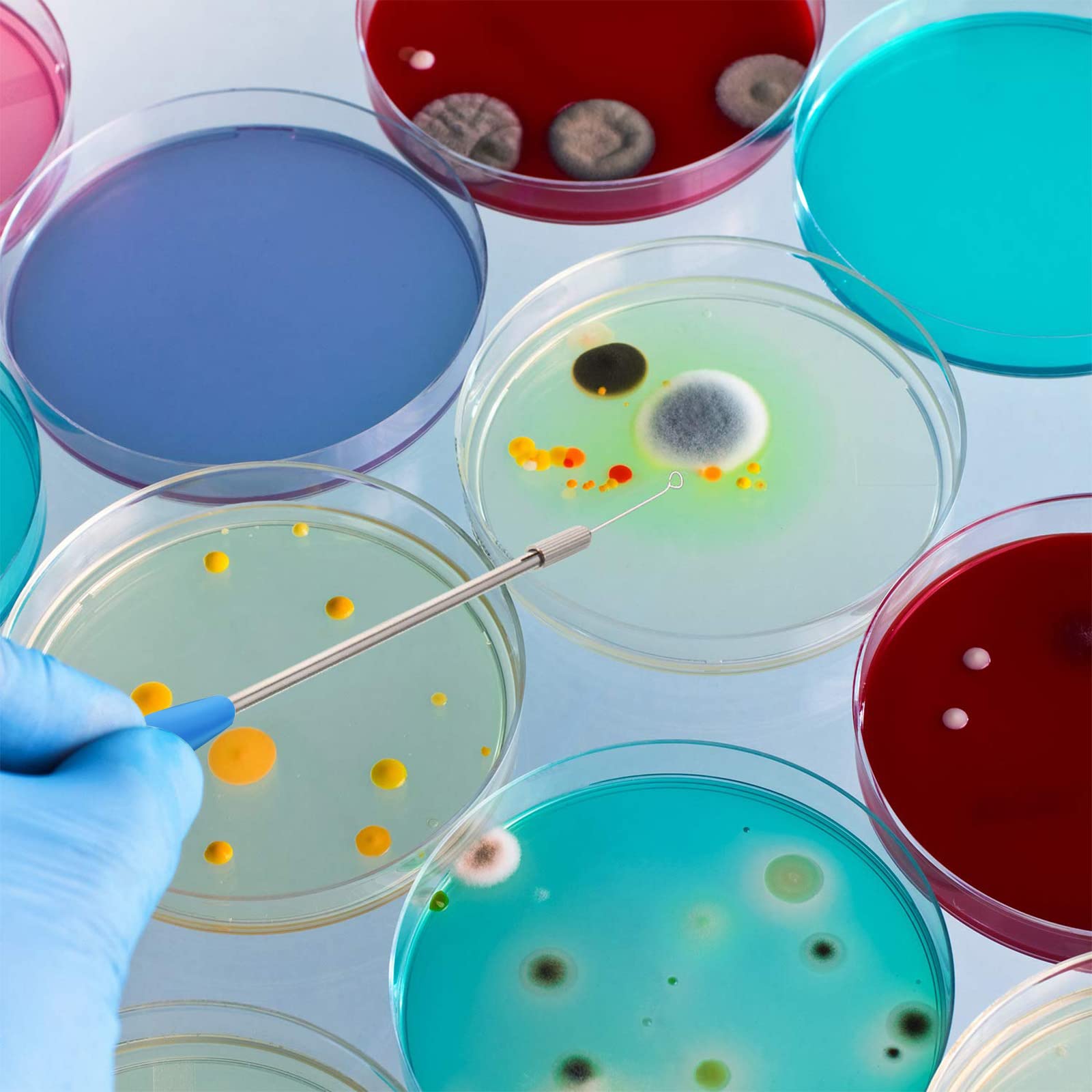 Foto 4 | Bucle De Inoculación Hotop Mycology Con 90 Agujas Reemplazables - Venta Internacional.