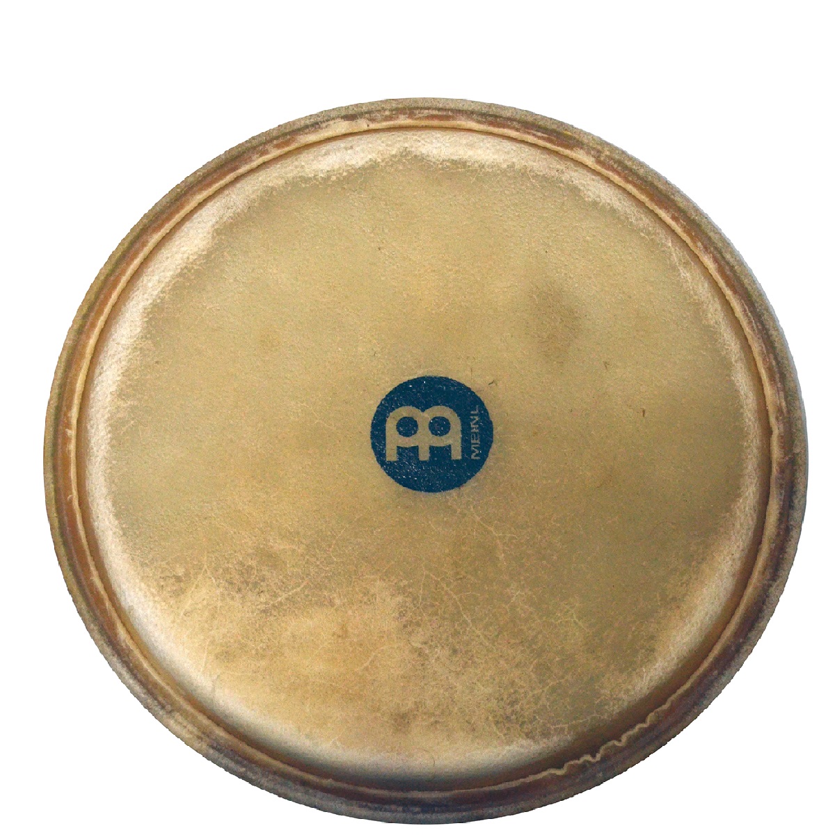 Foto 3 pulgar | Meinl Ts-b-54 Parche Para Tumba 12 1/2 Pulgadas