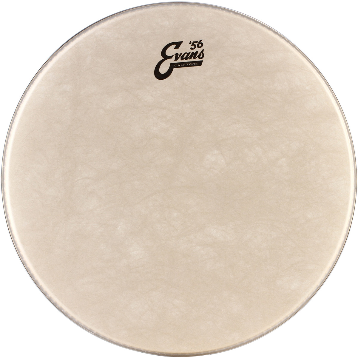 Parche Evans TT14C7 para Tom 14'' Sintético