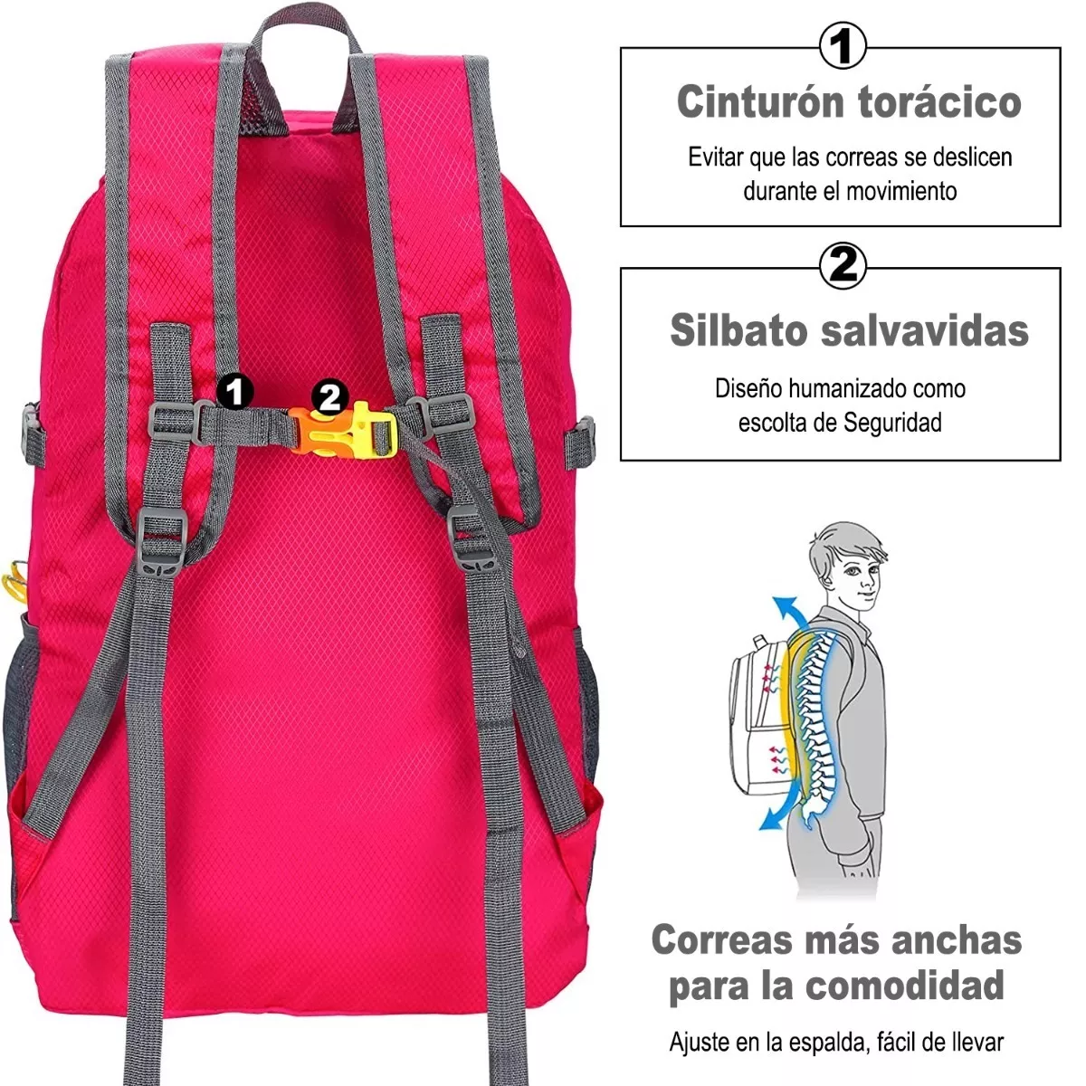 Foto 4 pulgar | Mochila De Senderismo Para Acampar Impermeable Plegable Eo Safe Imports Esi-12481-1 Purpura