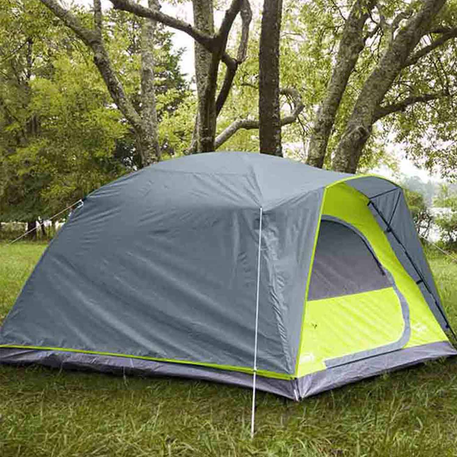 Foto 4 pulgar | Casa de Campaña Coleman Amazonia Multicolor para 6 Personas