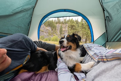 Foto 2 | Carpa Coleman Skydome Para 4 Personas Y 5 Minutos Con Rainfly - Venta Internacional.