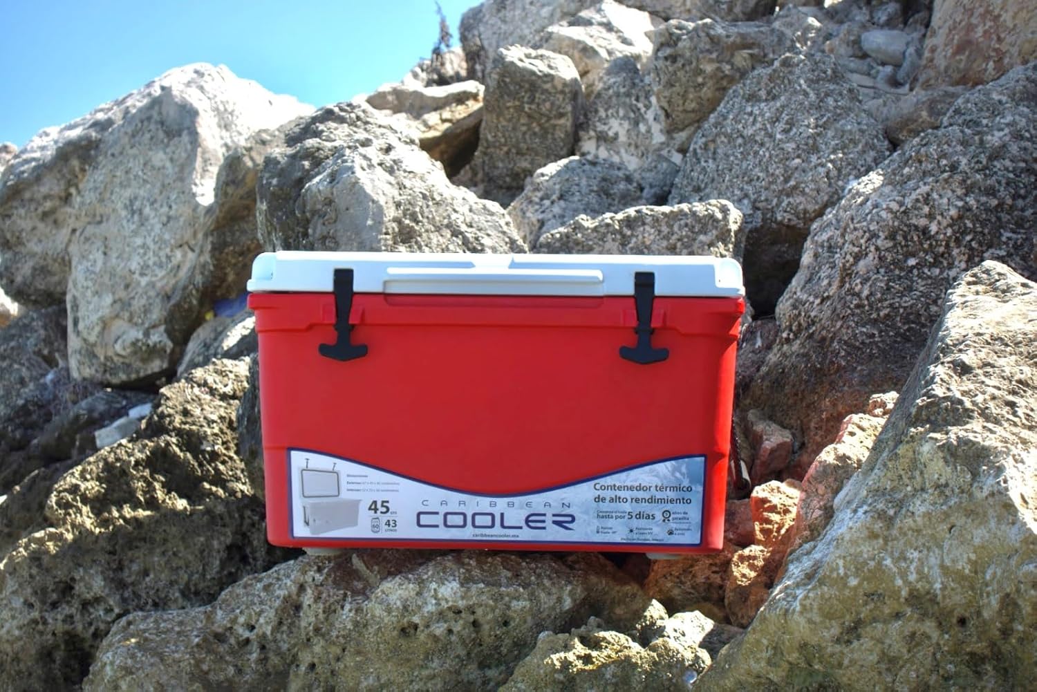 Foto 4 pulgar | Hielera Térmica Rígida Caribbean Cooler 43 L Pro