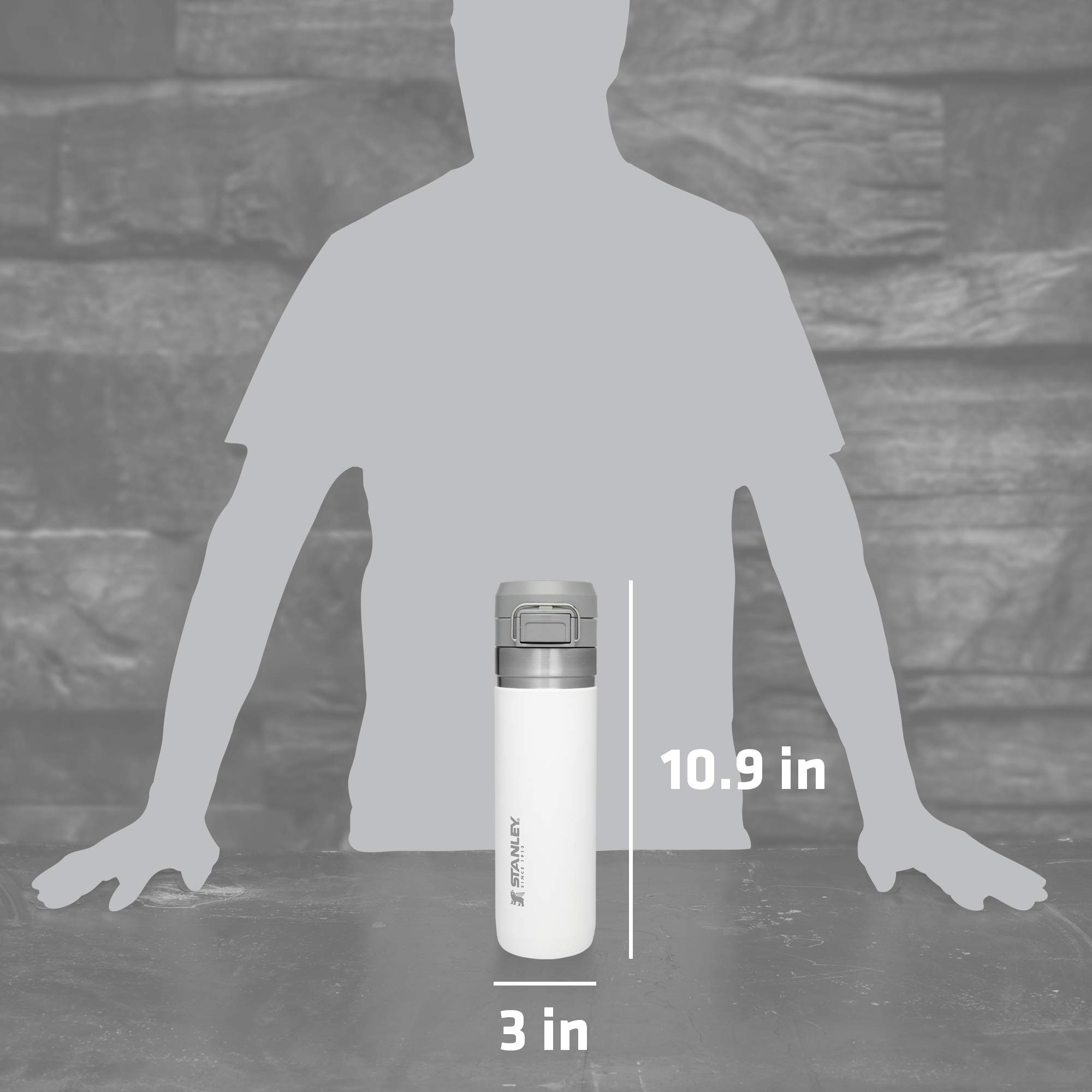 Foto 6 pulgar | Botella Stanley The Quick Flip Go Polar de 700 Ml/24 Onzas - Venta Internacional