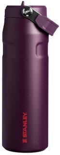 Foto 1 | Botella de Agua Stanley Iceflow Flip Straw 710 ml Morado - Venta Internacional