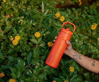Foto 3 | Botella de Agua Stanley Iceflow Flip Straw 710 ml Morado - Venta Internacional