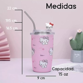 Foto 3 | Paquete 2x1 Vaso Térmico 450ml Con Popote Acero Inoxidable Diseño De Personajes De Sanrio