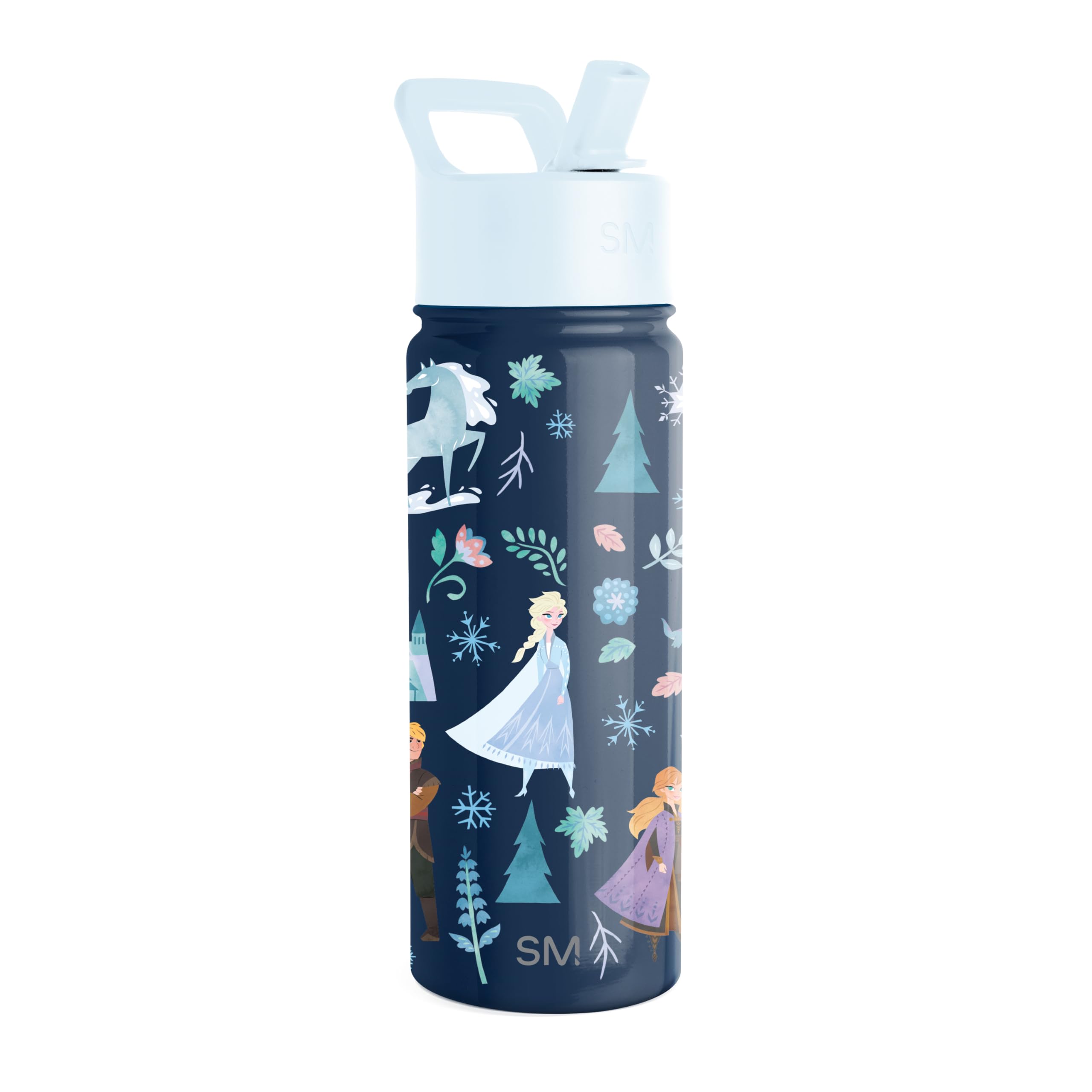 Botella De Agua Simple Modern Disney Frozen Anna & Elsa, 500 Ml - Venta Internacional.