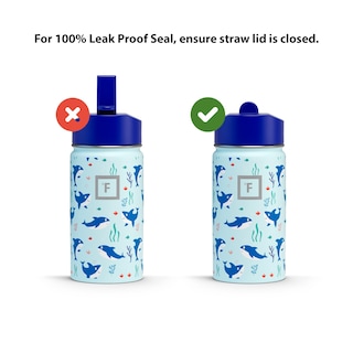 Foto 3 | Botella De Agua Iron °flask Kids Monsters Crew De 300 Ml Con Pegatinas - Venta Internacional.