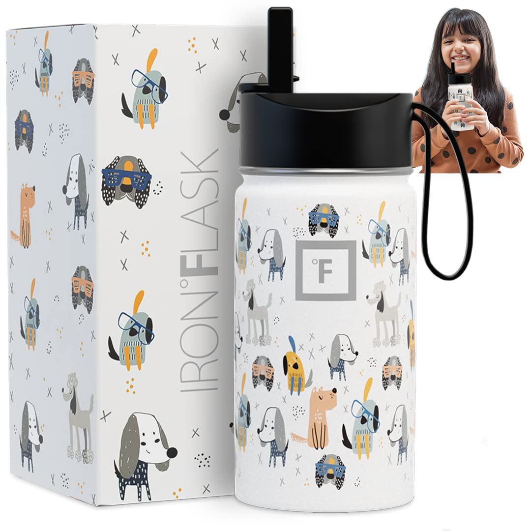 Botella De Agua Iron °flask Kids Puppy Land De 400 Ml Con Tapa De Pajita - Venta Internacional.