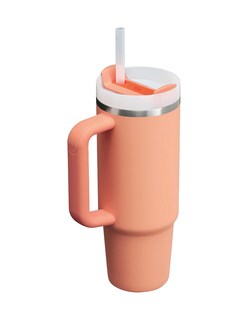 Foto 2 | 99865pt Termo Quencher 30oz Nectarine Marca Stanley