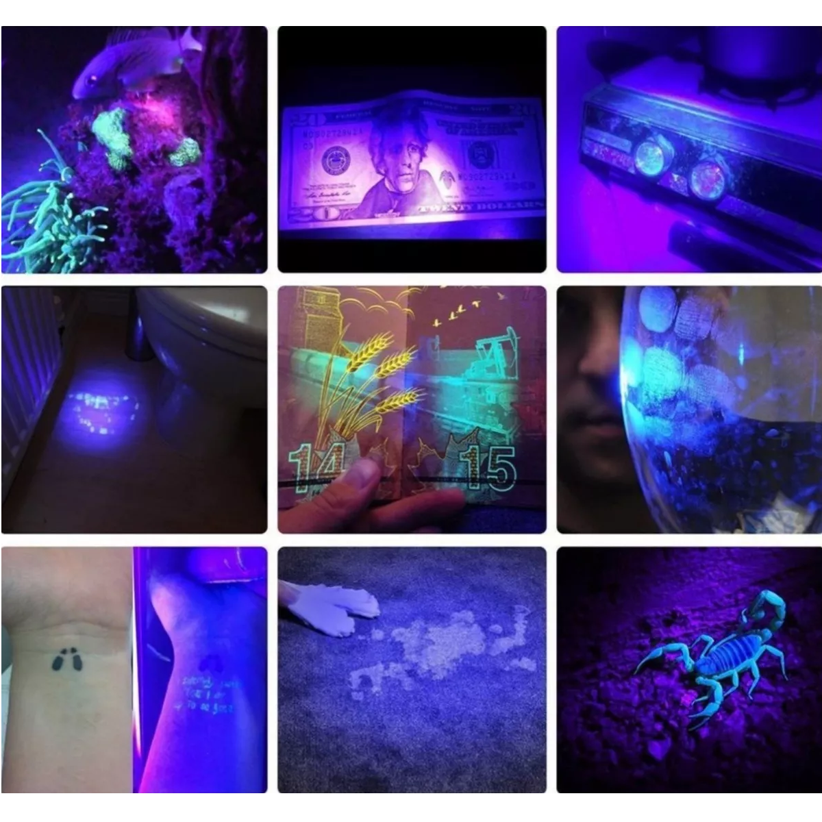 Foto 3 pulgar | Lámpara Linterna Táctica Luz Negra Uv Ultravioleta Campismo Eo Safe Imports Esi-13857 Negro