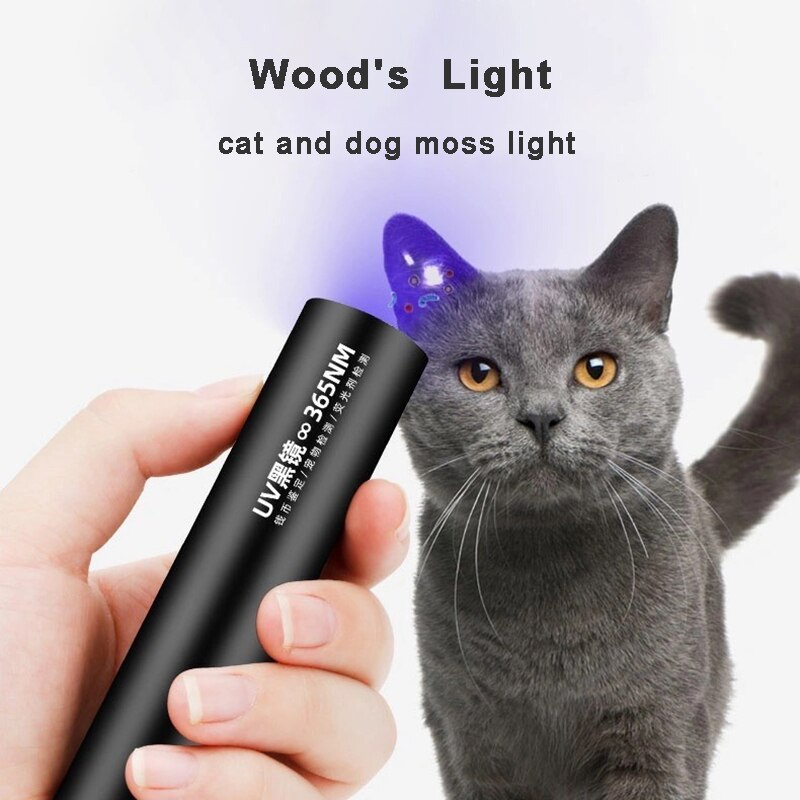 Linterna Con Detector De Tiña Para Gatos, Prueba De Hongos, Luz Uv - Venta Internacional.