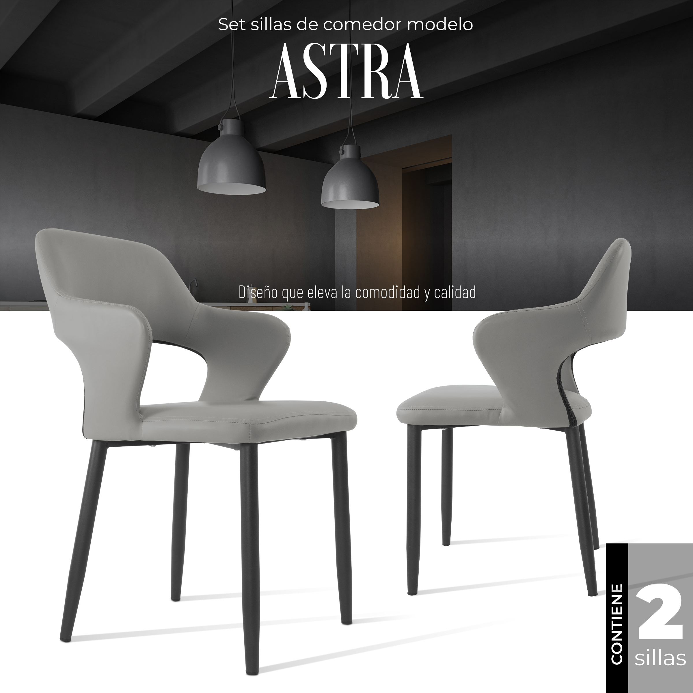 Foto 3 pulgar | Set Sillas De Comedor Astra Minimalistas Modernas 2 Unidades (gris)