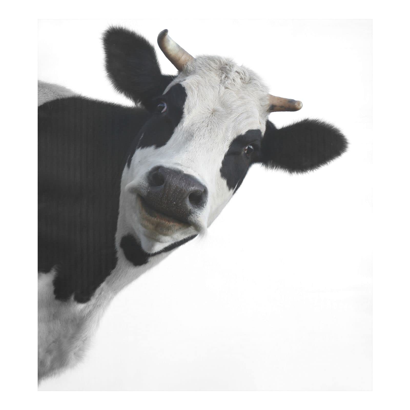 Foto 4 pulgar | Funda Magnética Alaza Fun Cow Print Animal Para Lavavajillas 58,42 X 66,04 Cm - Venta Internacional.