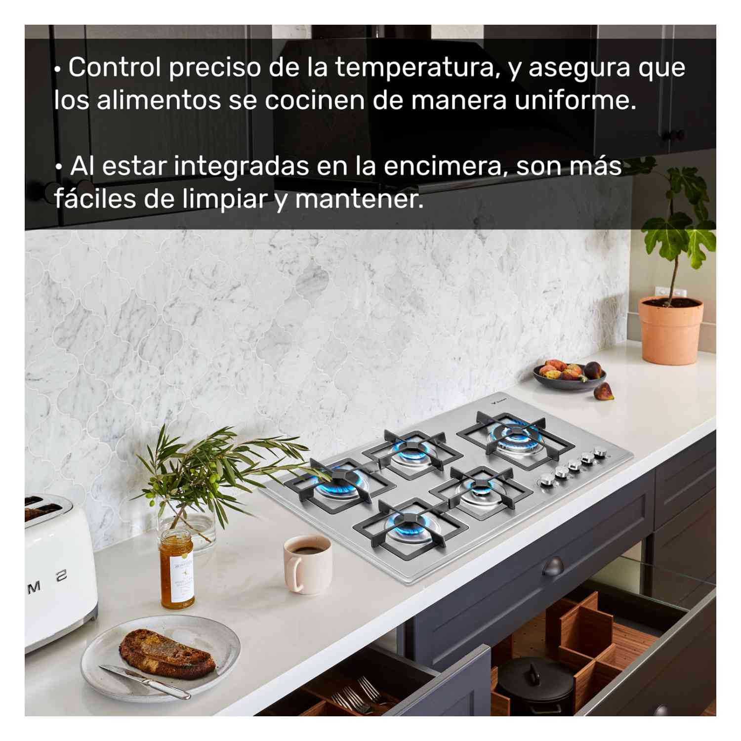 Foto 3 | Parrilla a Gas Gutstark 5 Quemadores Acero Inoxidable Empotrable