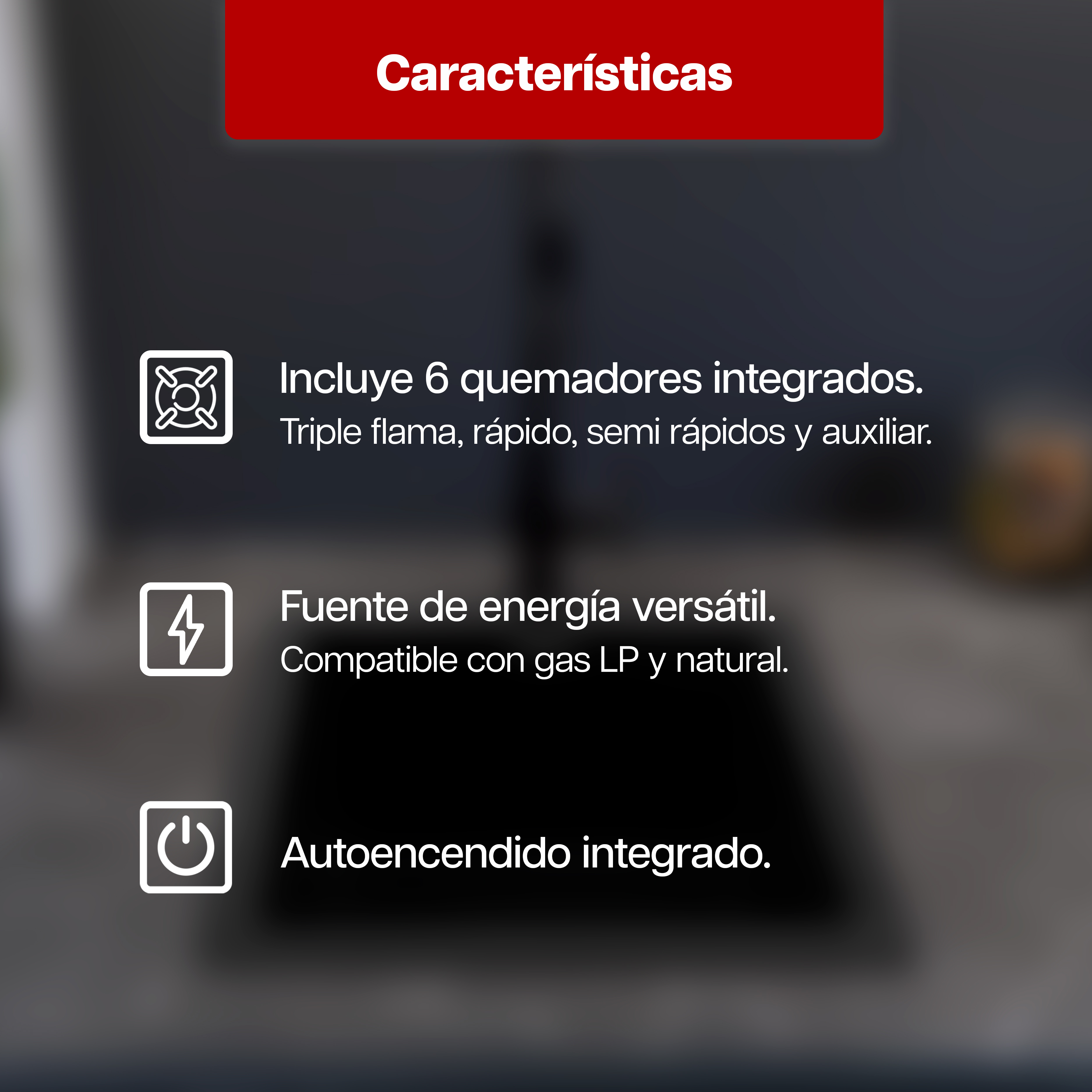 Foto 5 | Parrilla Empotrable Maxims de Gas de 6 Quemadores