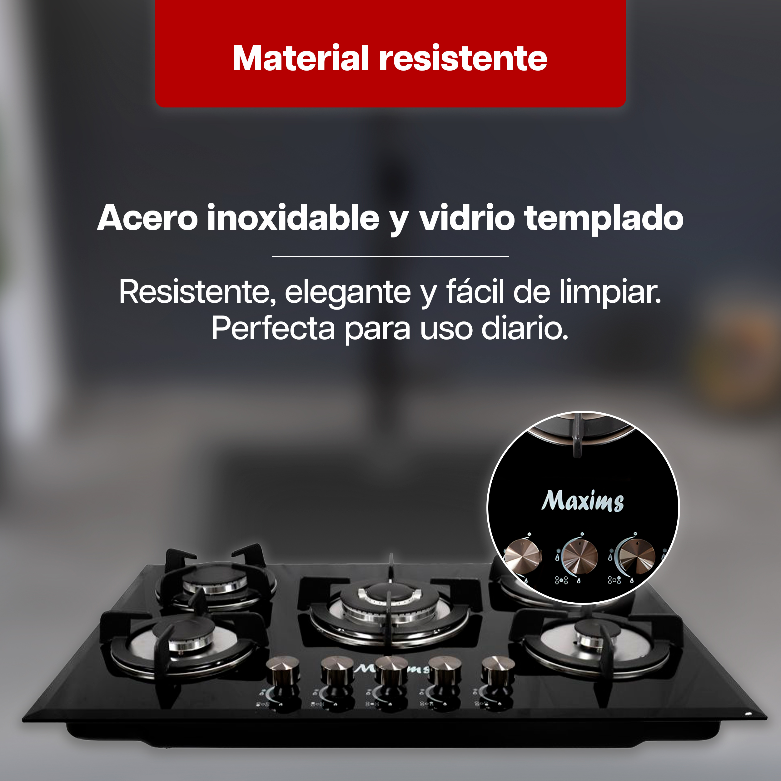 Foto 4 | Combo Maxims Parrilla Gas 5 Quemadores + Campana 76 Cm Acero Inoxidable