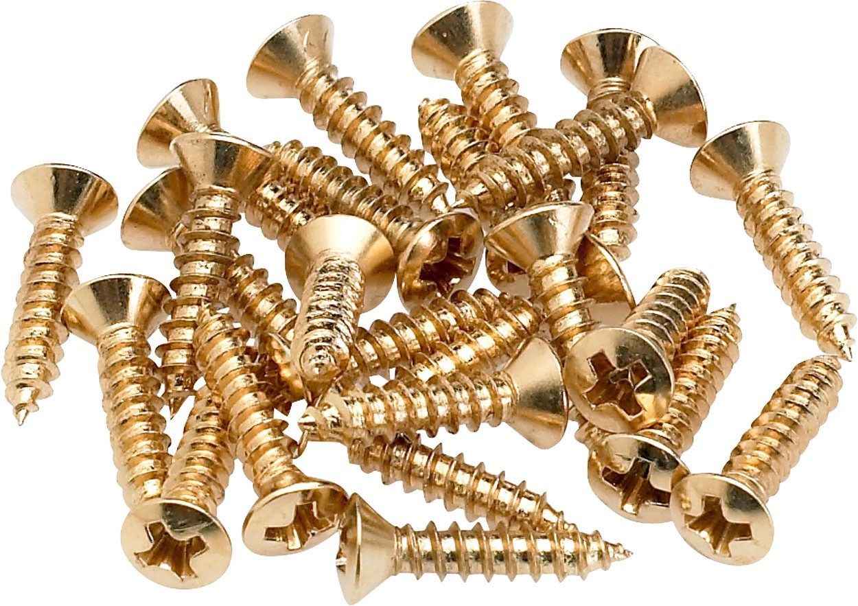 Tornillos Para Guardabarros Y Placa De Control, Montaje Dorado (24) - Venta Internacional.